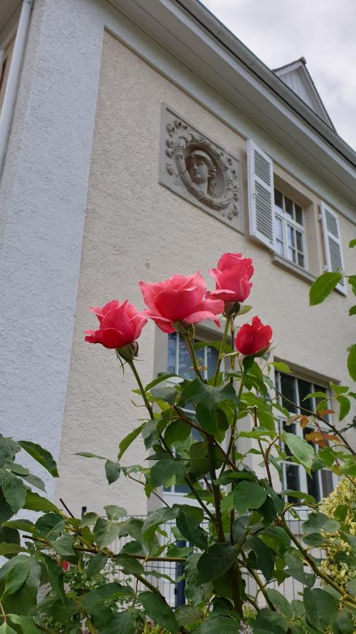 Lilienmatt Apartments Baden-Baden Exterior foto